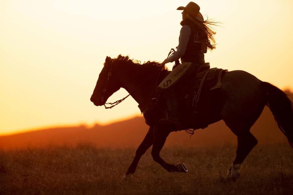 Sustainable Wagyu Beef | FP Ranch Beef